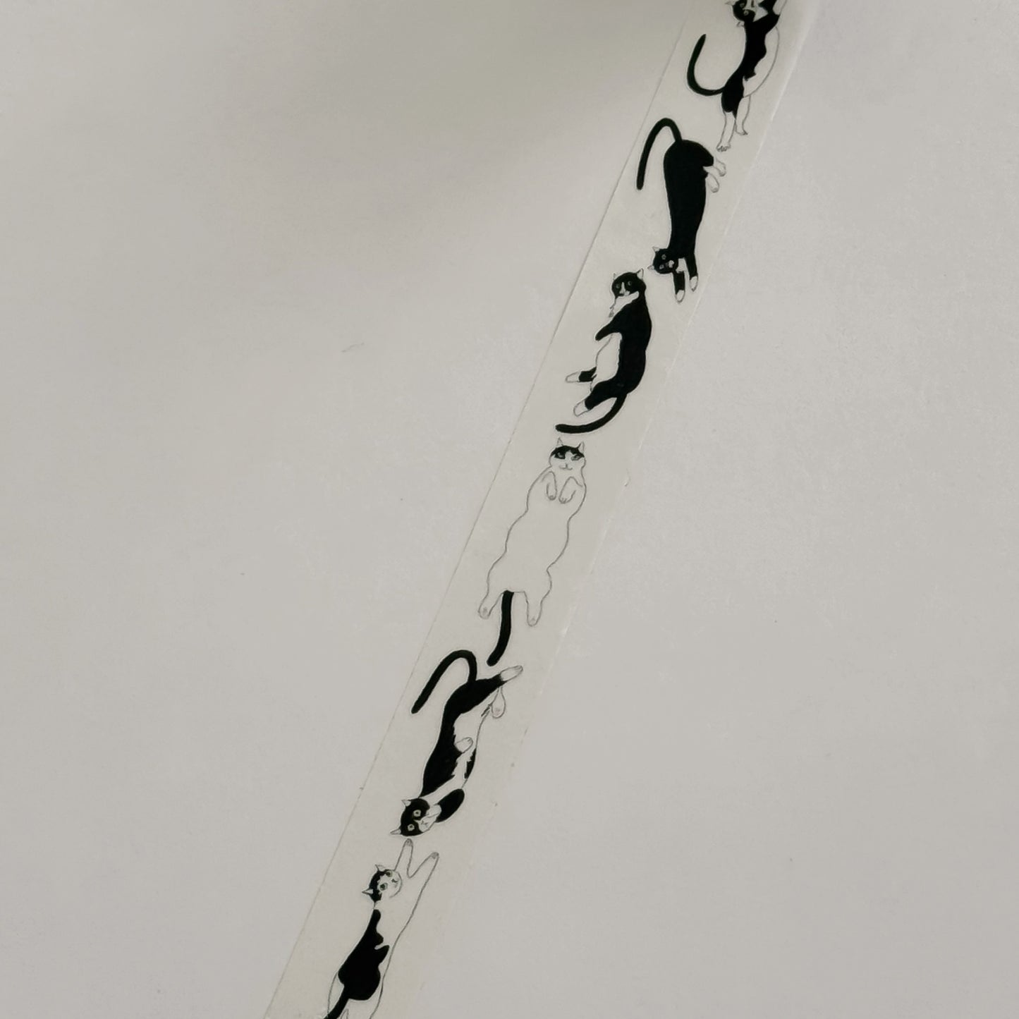 Masking Tape - The Six Cats