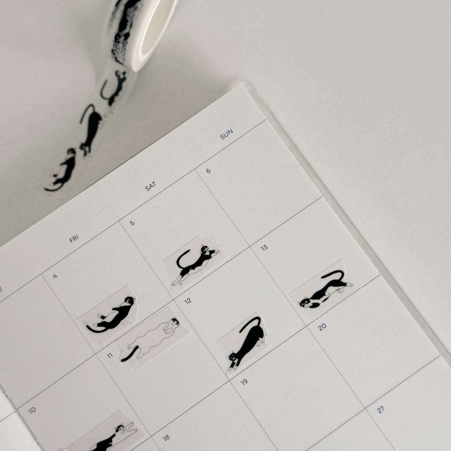 Masking Tape - The Six Cats